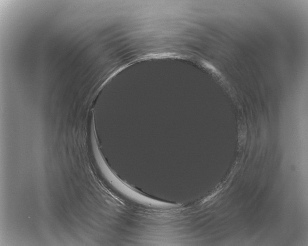 X0000066121361200603241559