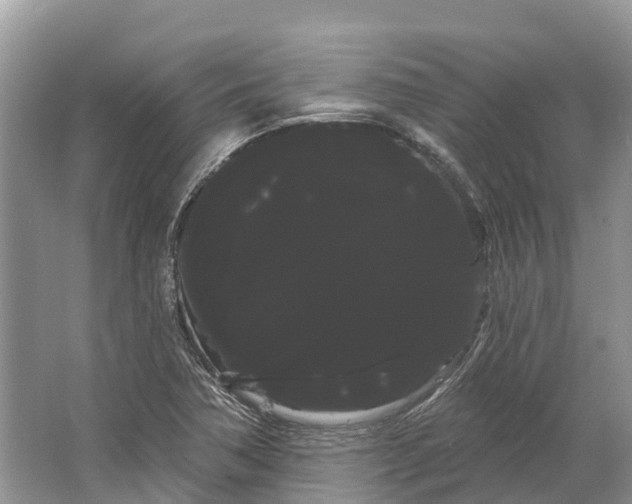 X0000066121362200603241559