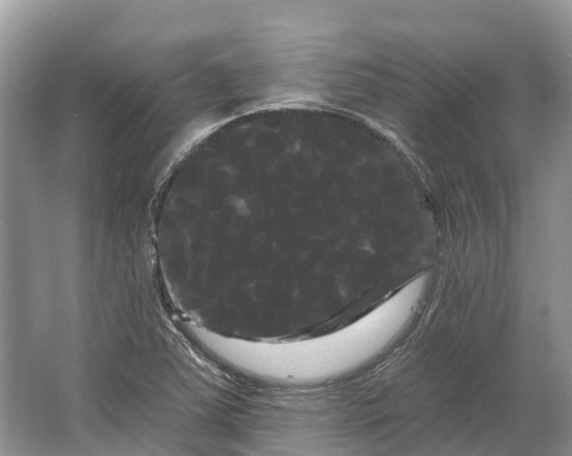 X0000066121363200603241559