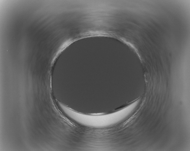 X0000066121365200603241559