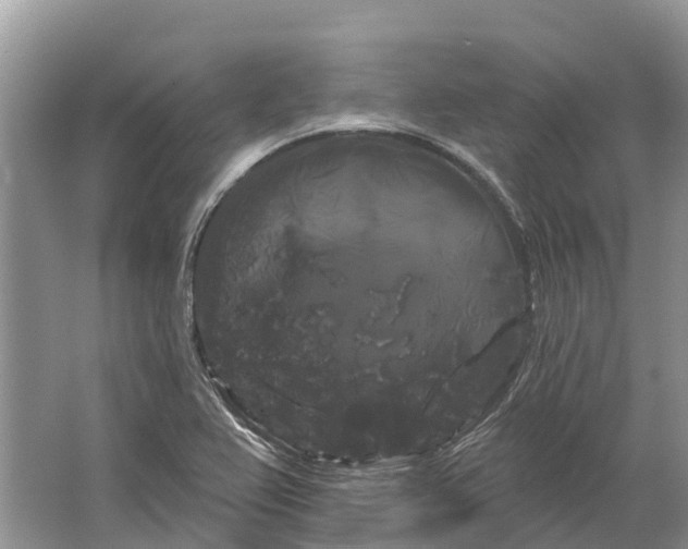 X0000066121367200603241559