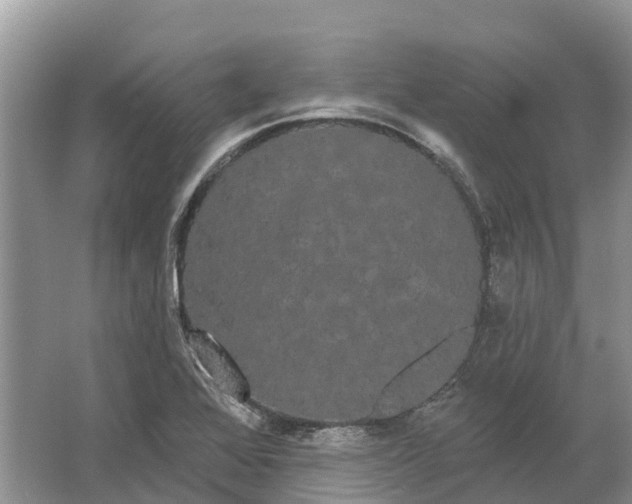 X0000066121368200603241559