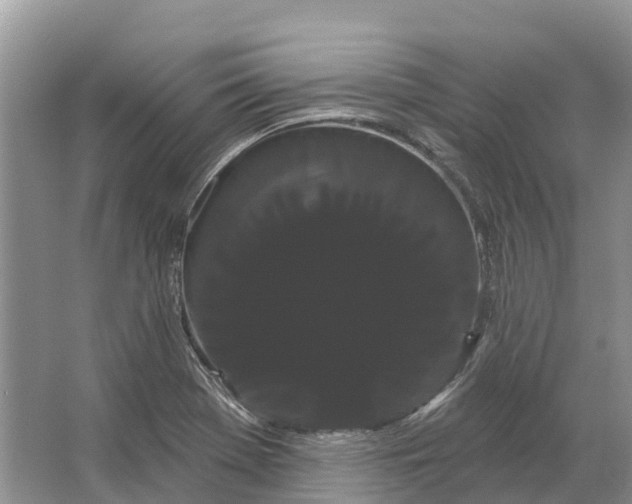 X0000066121369200603241559