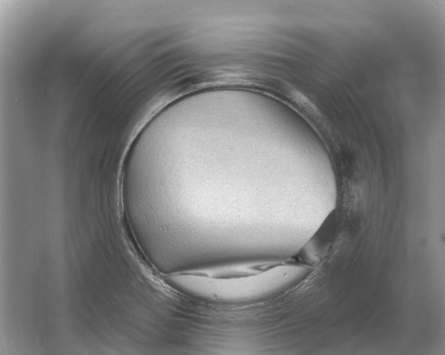 X0000066121370200603241559