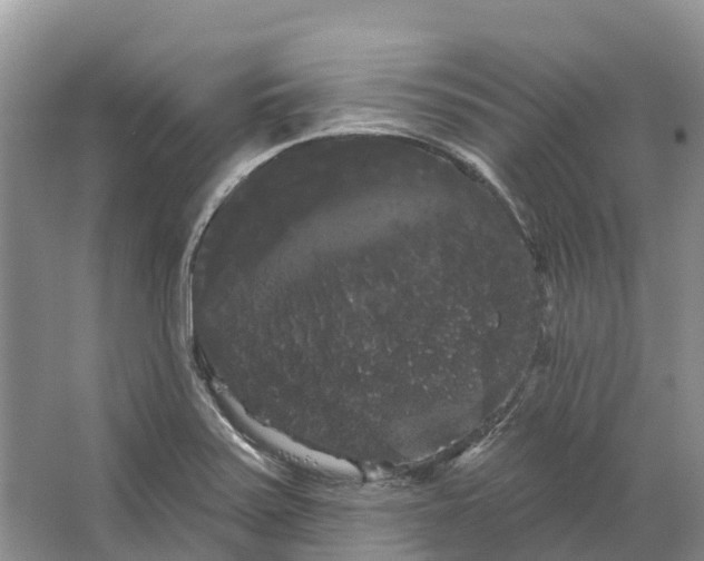 X0000066121371200603241559