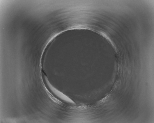 X0000066121372200603241559