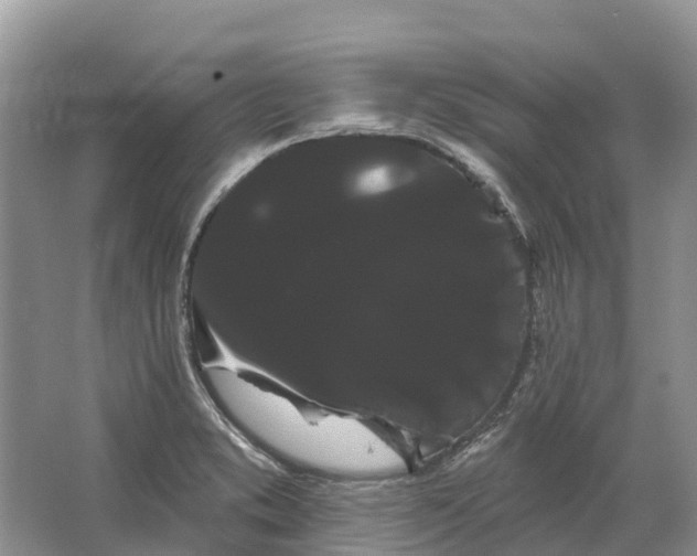 X0000066121373200603241559