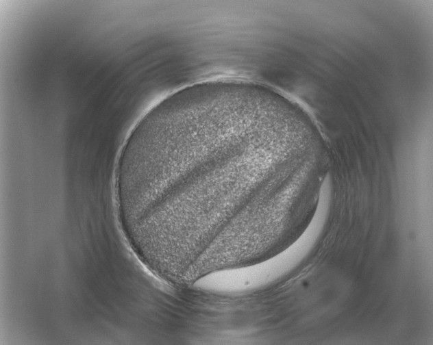 X0000066121375200603241559