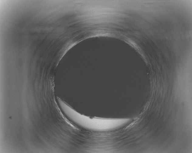 X0000066121377200603241559