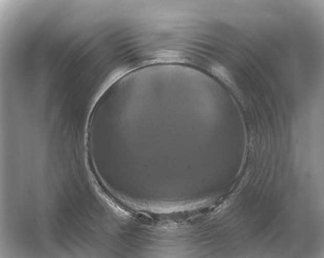 X0000066121378200603241559