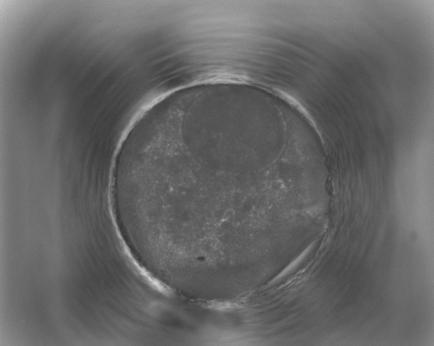 X0000066121379200603241559