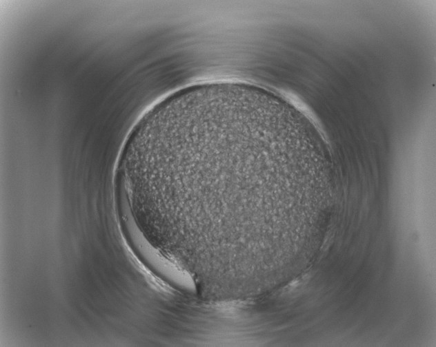 X0000066121380200603241559