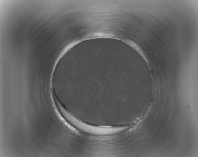 X0000066121381200603241559