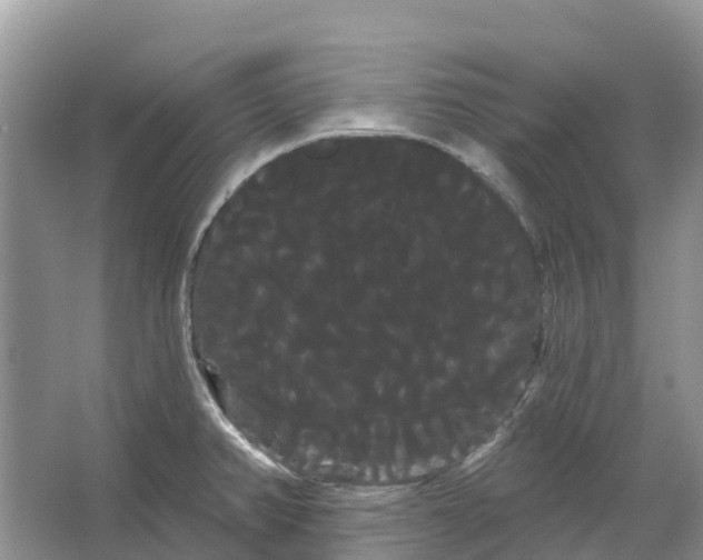 X0000066121382200603241559