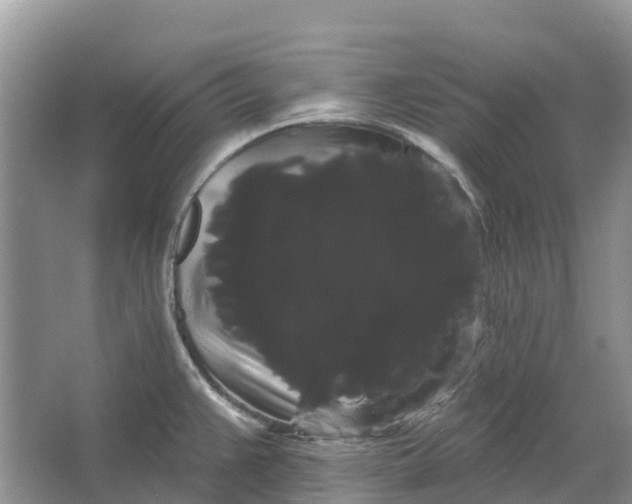 X0000066121383200603241559