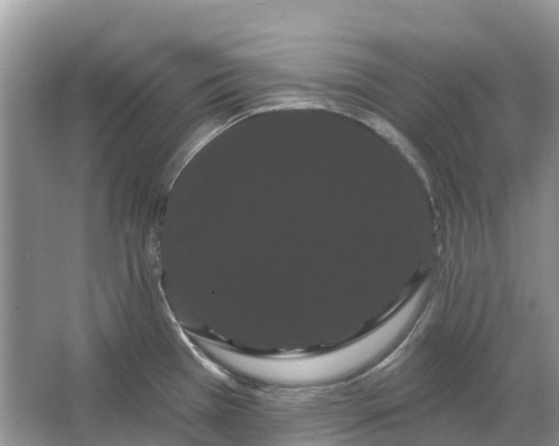 X0000066121385200603241559