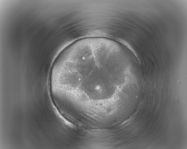 X0000066121387200603241559