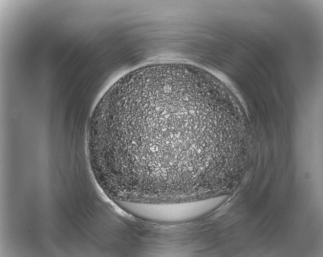 X0000066121390200603241559