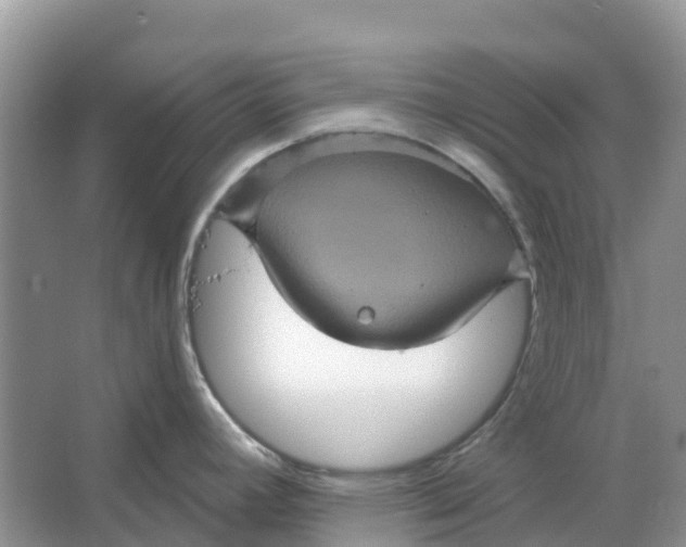 X0000066121392200603241559