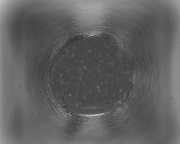 X0000066121393200603241558