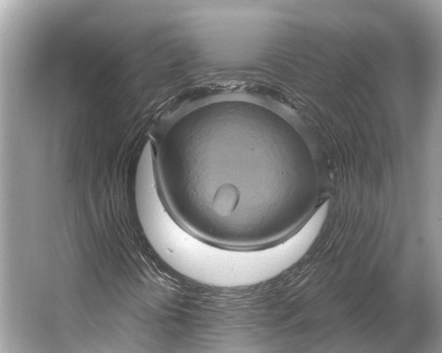 X0000066121394200603241558