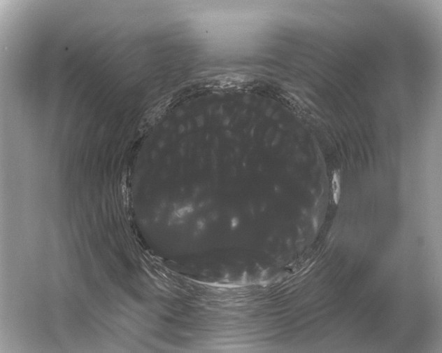 X0000066121395200603241558