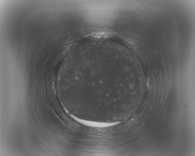 X0000066121396200603241558