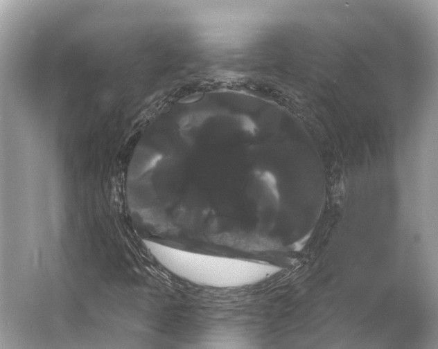 X0000066121397200603241558