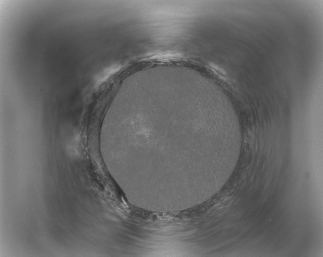 X0000066121398200603241558