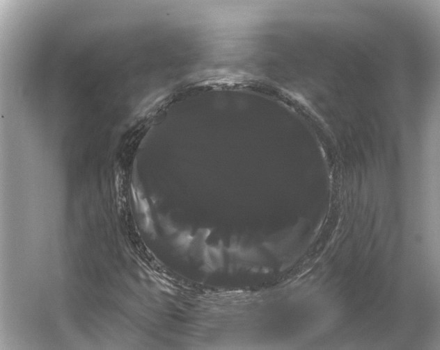 X0000066121399200603241558