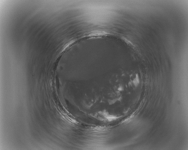 X0000066121401200603241558