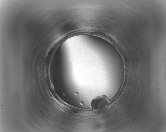 X0000066121402200603241558