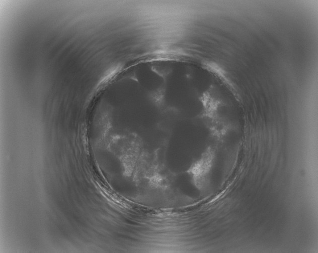 X0000066121403200603241558