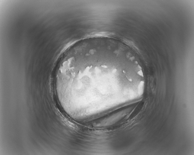 X0000066121404200603241558