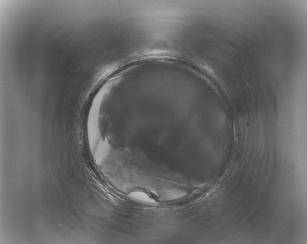 X0000066121405200603241558