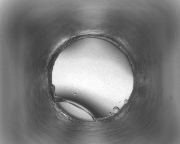 X0000066121406200603241558