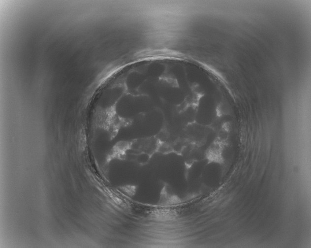 X0000066121407200603241558