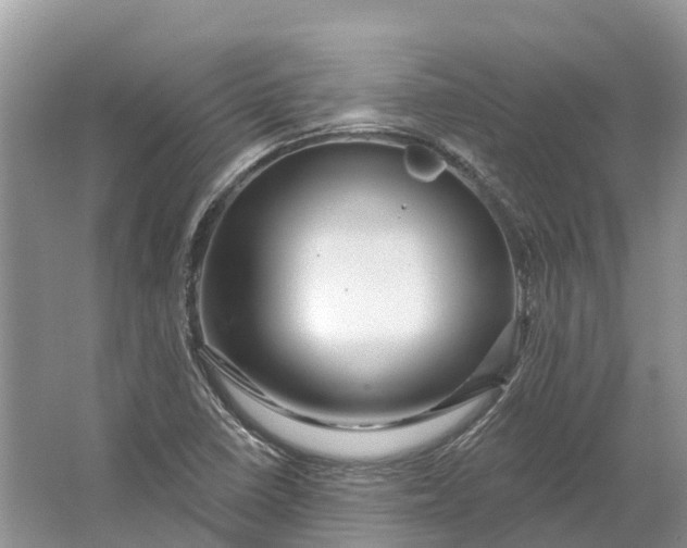 X0000066121410200603241558