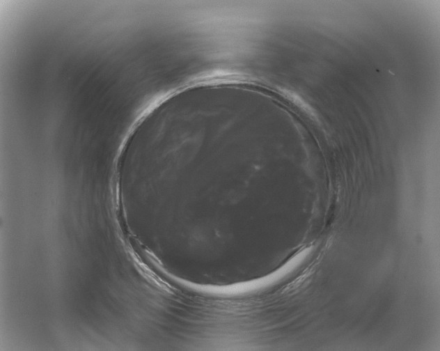 X0000066121413200603241558