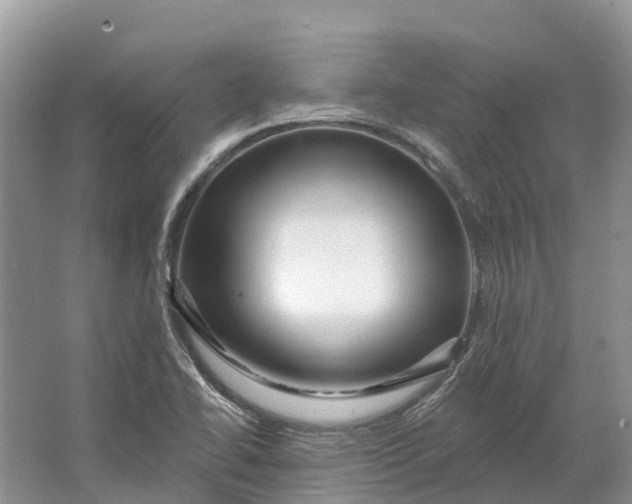 X0000066121414200603241558