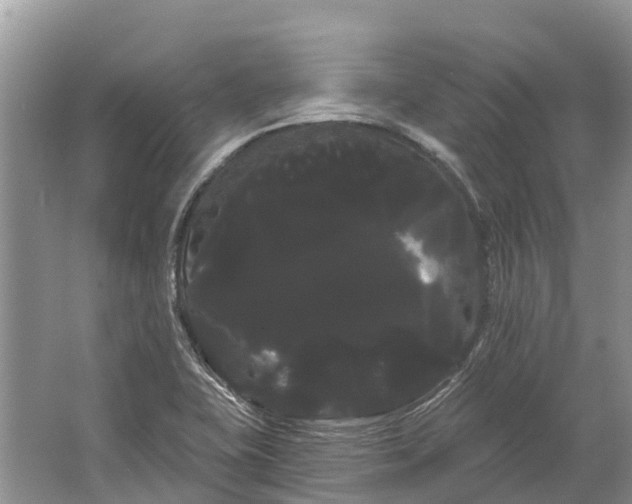 X0000066121415200603241558