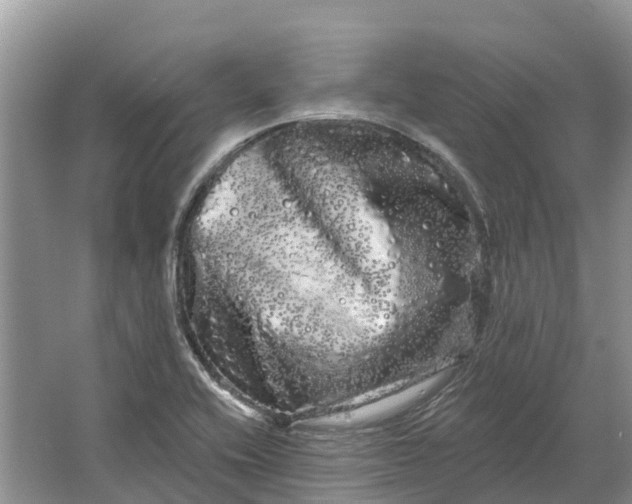 X0000066121416200603241558