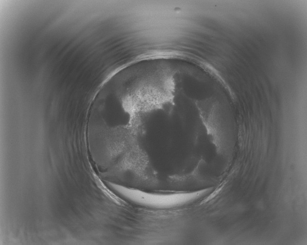 X0000066121417200603241558