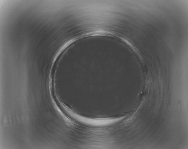 X0000066121418200603241558