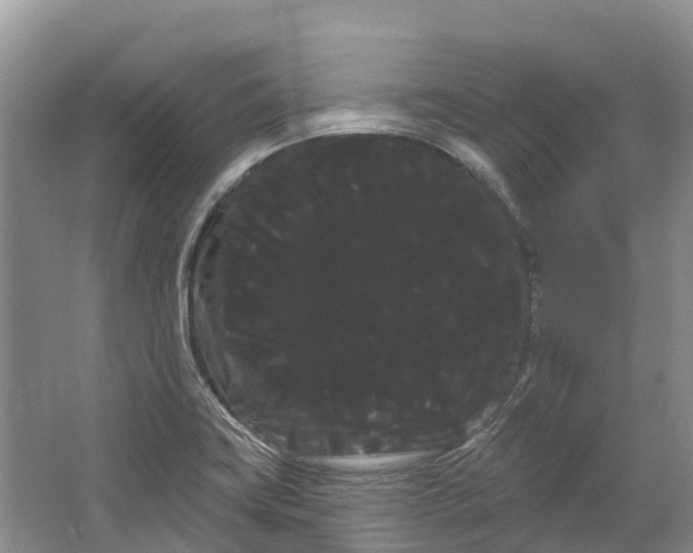 X0000066121419200603241558