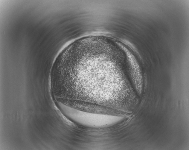 X0000066121420200603241558