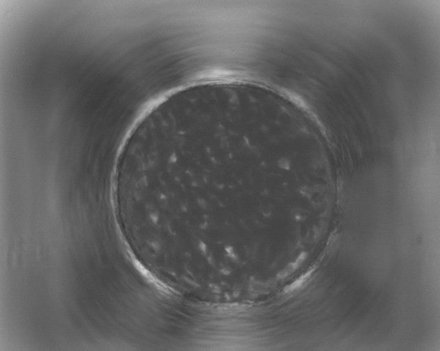 X0000066121421200603241558