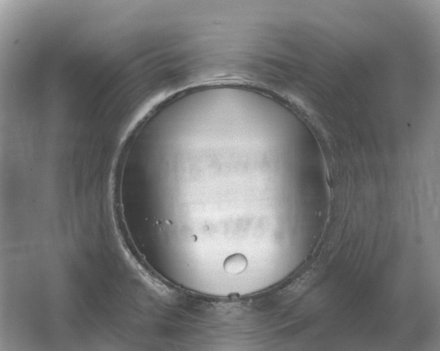 X0000066121422200603241558