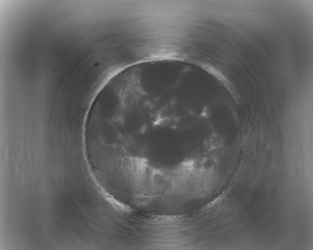 X0000066121423200603241558