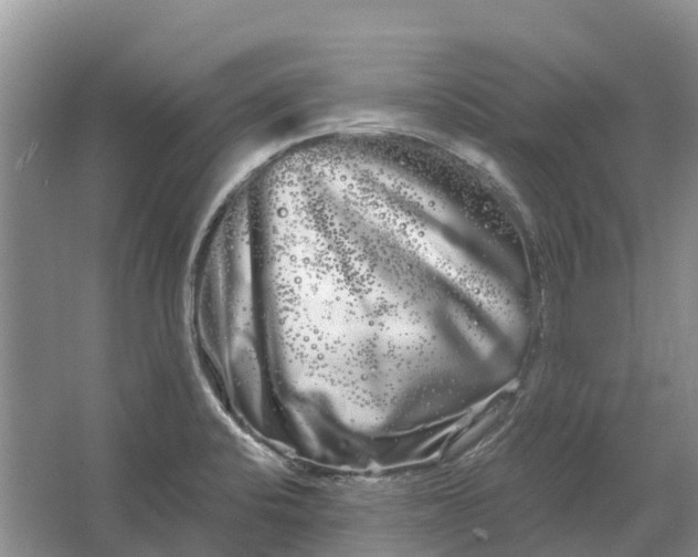 X0000066121424200603241558